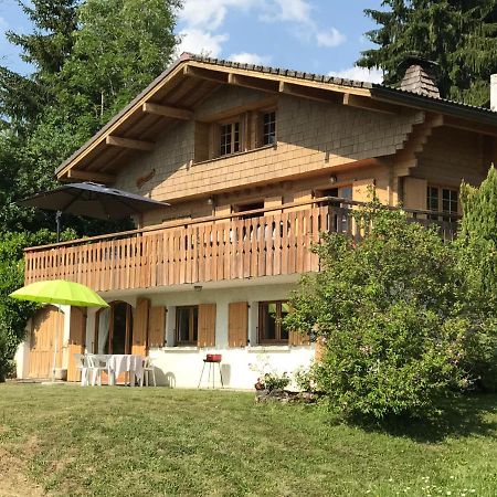 Chalet Les Marmottes Saint-Jean-de-Sixt Exterior foto