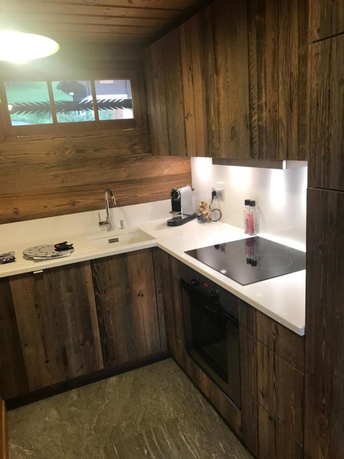 Chalet Les Marmottes Saint-Jean-de-Sixt Exterior foto