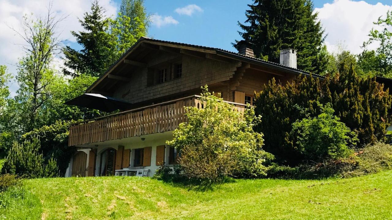 Chalet Les Marmottes Saint-Jean-de-Sixt Exterior foto